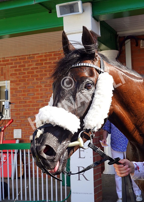 240726-Race 6-Sixty Plus-01884 - Race 6 16.53pm JW4X4 Northallerton Handicap