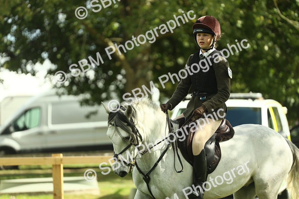 SBM_42955 - S30 - M&M Working hunter Pony