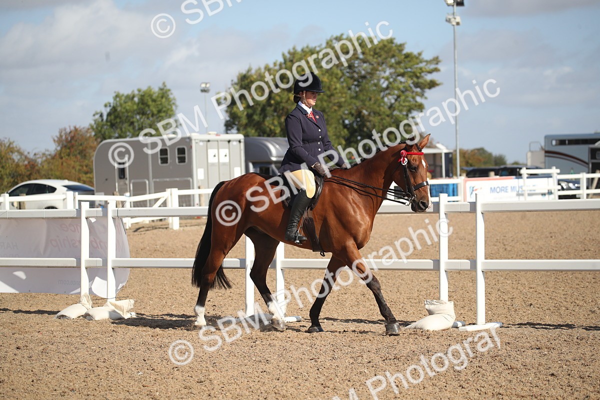 SBM_22761 - Class 602 - 2026 Area - Ridden Veteran