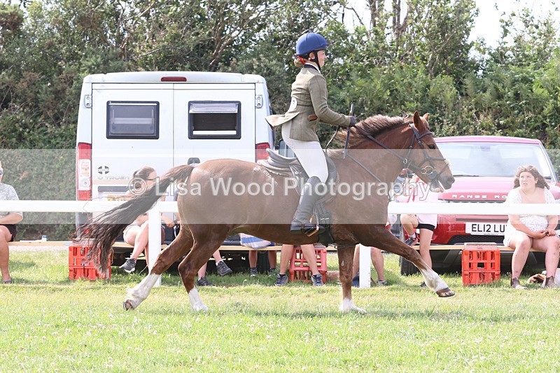 JPP_3982 - Class 23: Working Hunter 80cm