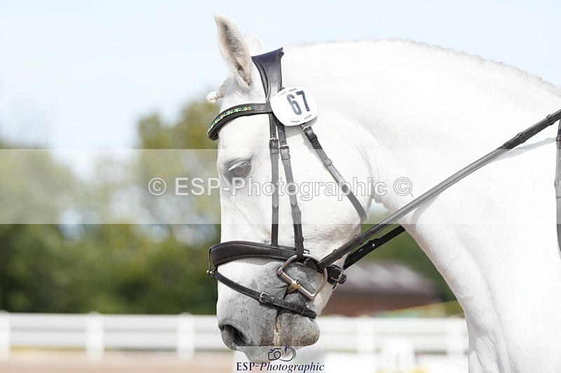 250906-135440-03794 - 067-Laura.PercyConobola.Cascade