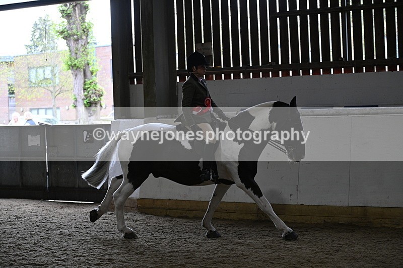 WJ7_4522 - Afternoon Champs