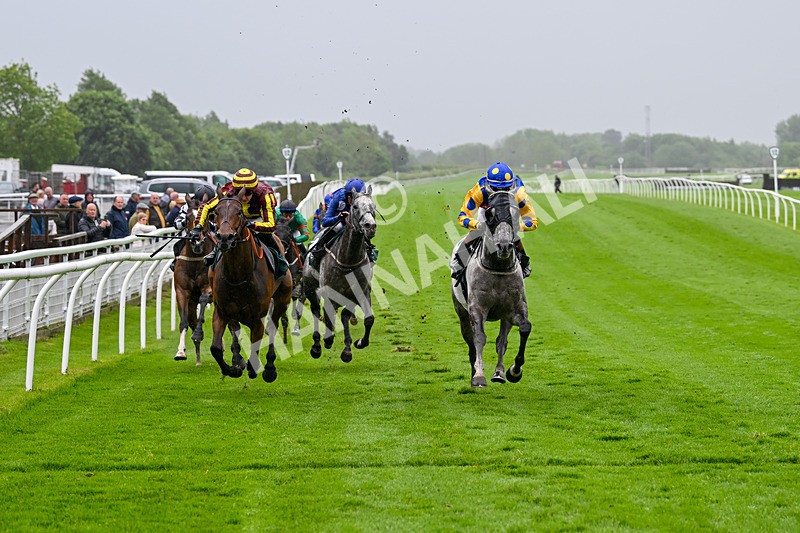 230524-Race 5-King Of Tonga-1829 - Race 5