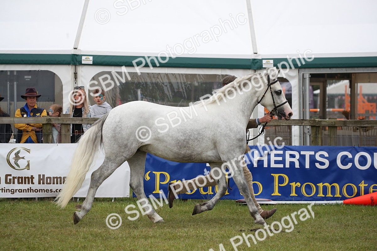 SBM_09790 - Ch 50 - Price Family Supreme In Hand