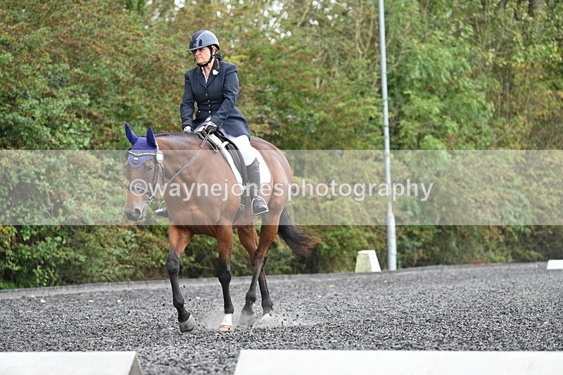 WJ7_4595 - Time 12:12 to 12:30