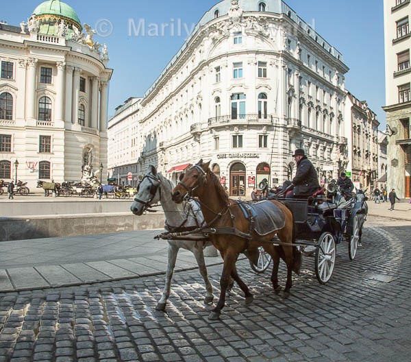 Vienna city - Budapest to Amsterdam