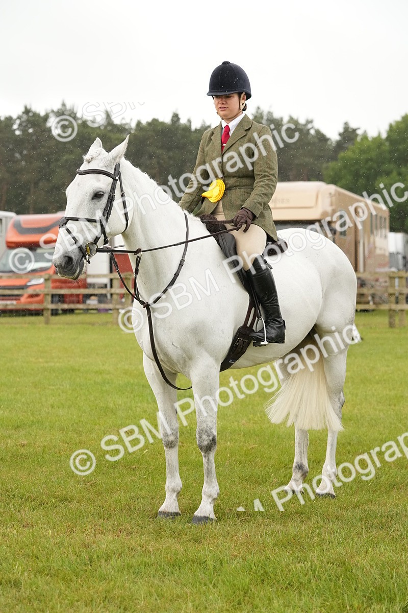 SBM_12811 - Class 97-98 - LIHS BSHA Rising Star Working Show Horse Hunter