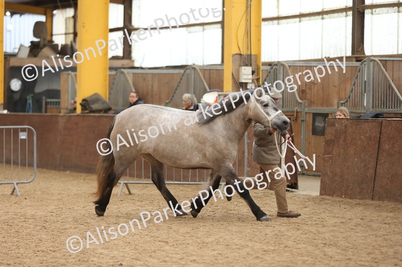 20251109-0887 - Class 26 - 2 and 4 Year Olds