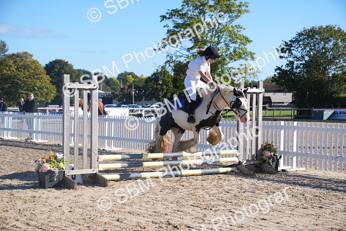 SBM_00771 - J53 Clear Round 40cm