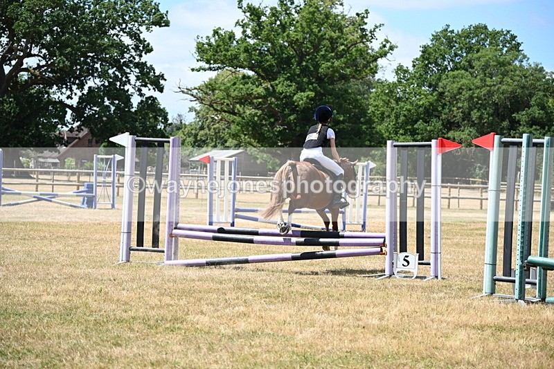 WJ6_5742 - Class 13 Novice 60cm