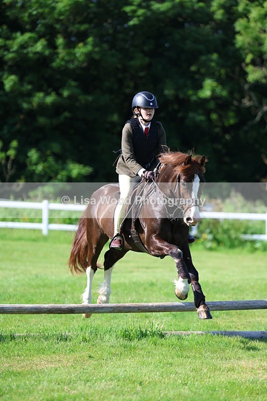 3E7A5930 - Class 27: Novice Working Hunter Pony