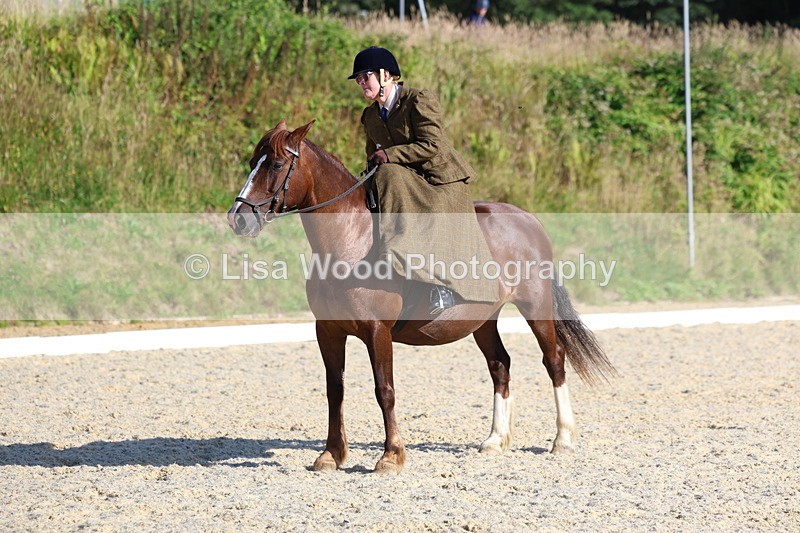 3E7A3481 - Class 2: Intro 1 2024 Section B