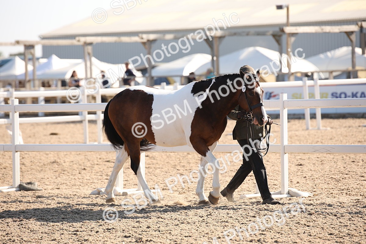 SBM_01441 - Class 15 IH Coloured