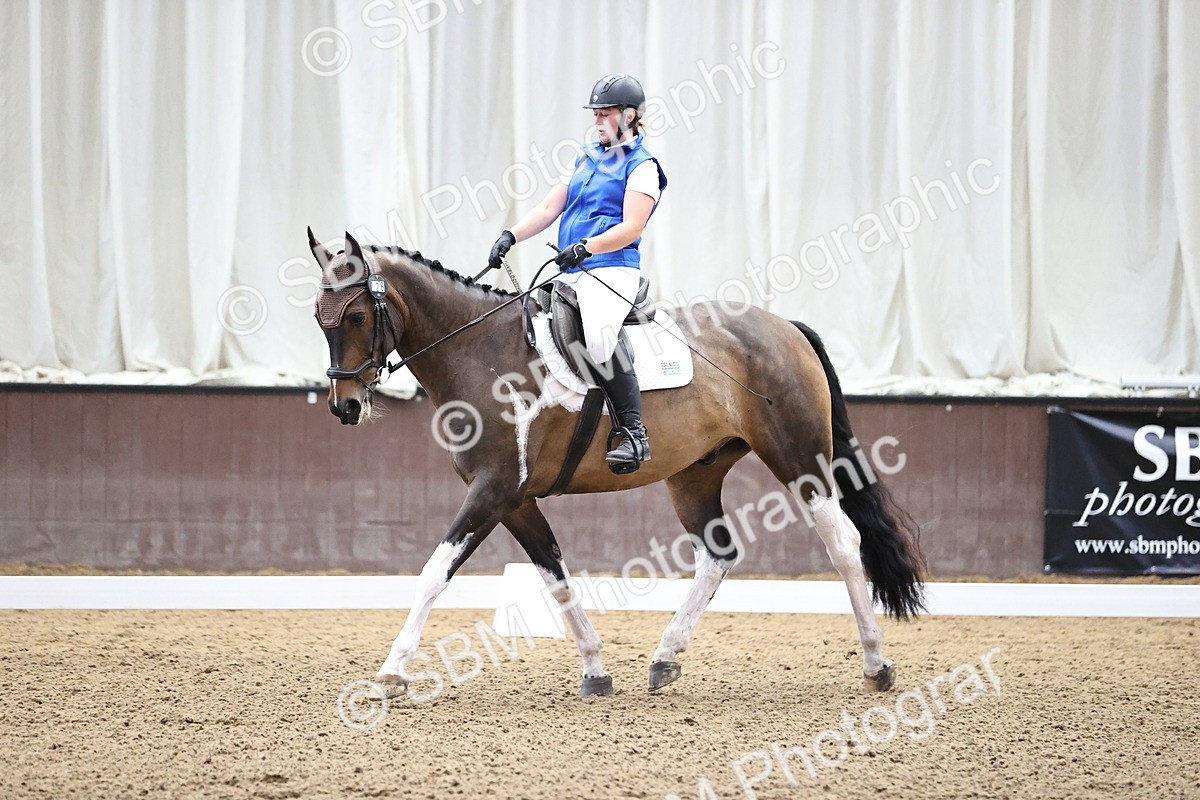 SBM_000494 - Novice 4 Warm Up