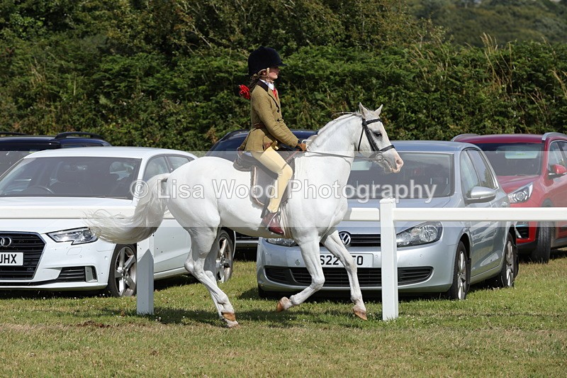 1X9A5690 - Class 40: NPS Welsh A & B