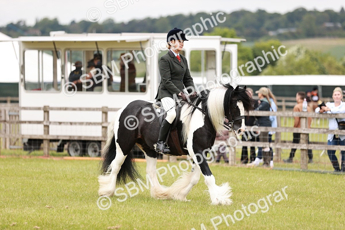 SBM_06170 - Class 39-41 TGCA In Hand and Ridden