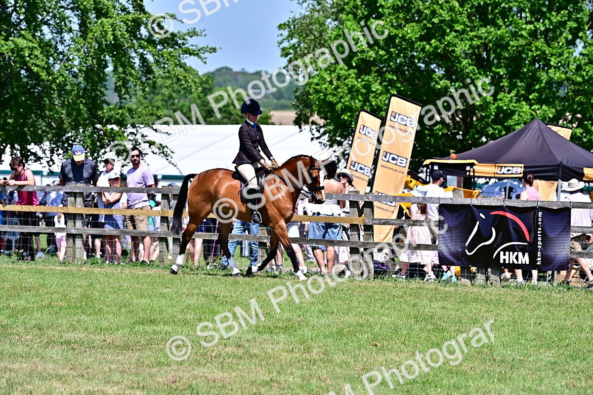 SBM_17423 - Class 95-97 - BSPS LHS Performance Ponies