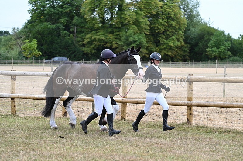 WJ7_8928 - Class 4a Prettiest Mare 14.2hh and over