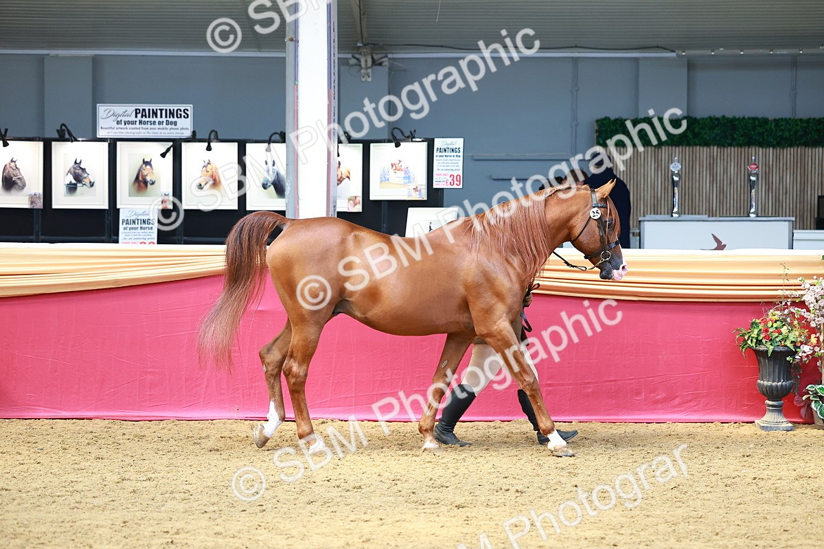 SBM_02231
