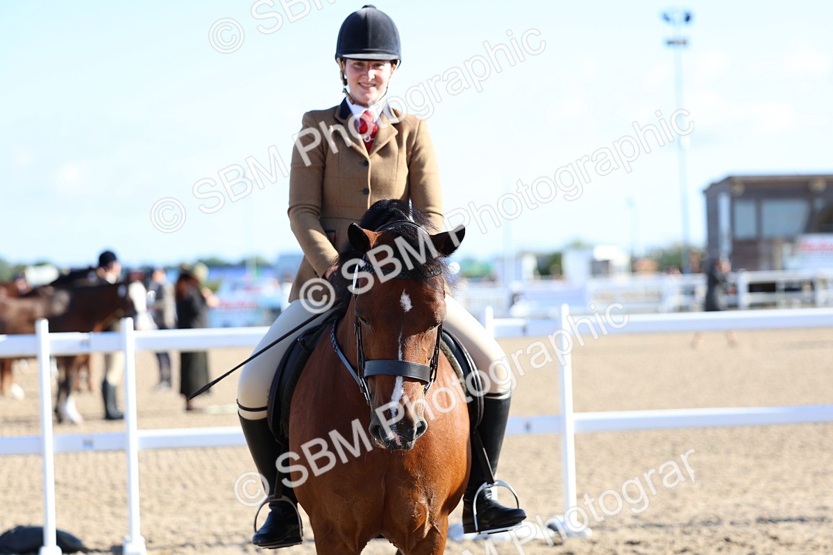 SBM_08817 - Class 302 - Ridden M&M - Large Breeds