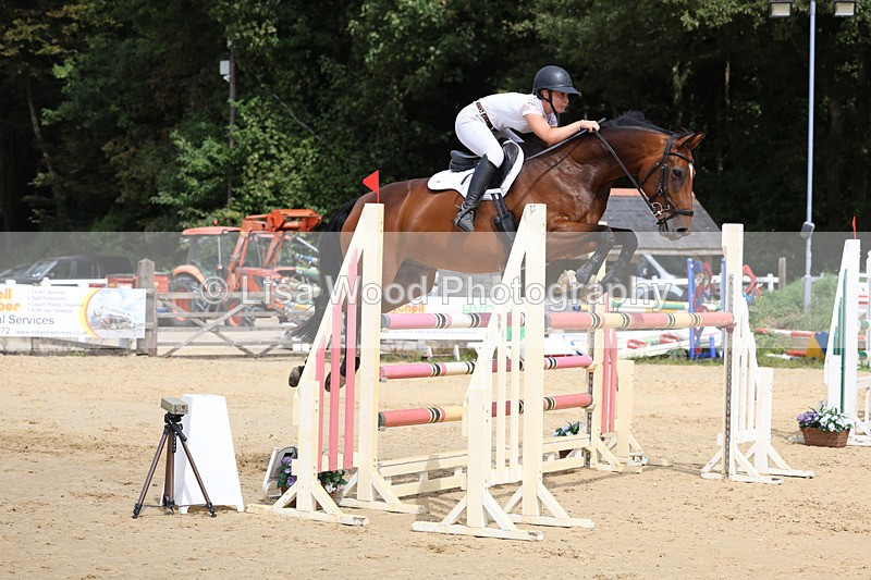 3E7A4330 - Class 8: Senior Foxhunter/1.20 open