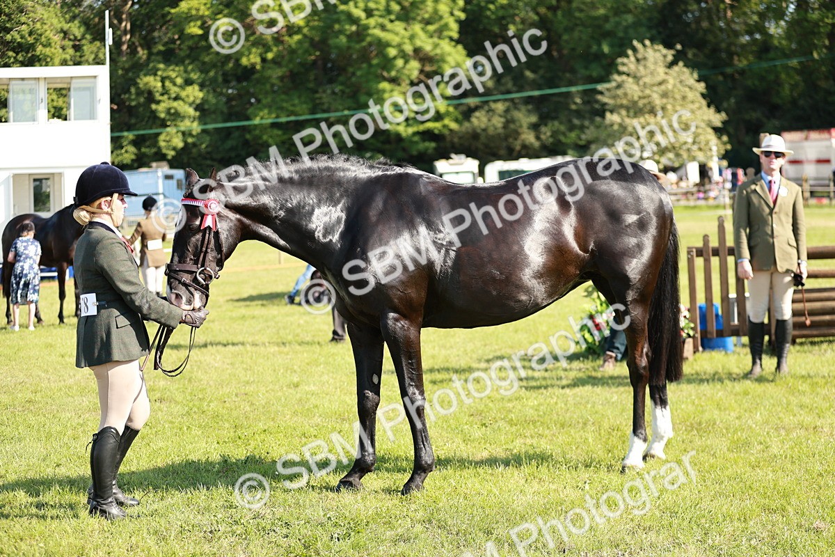 SBM_19265 - Class 115-116 - LIHS BSHA Rising Star Working Hunter & Show Horse