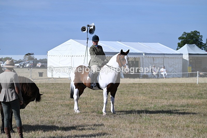 WJ7_2888 - Class 8 Ridden Tack & Turnout