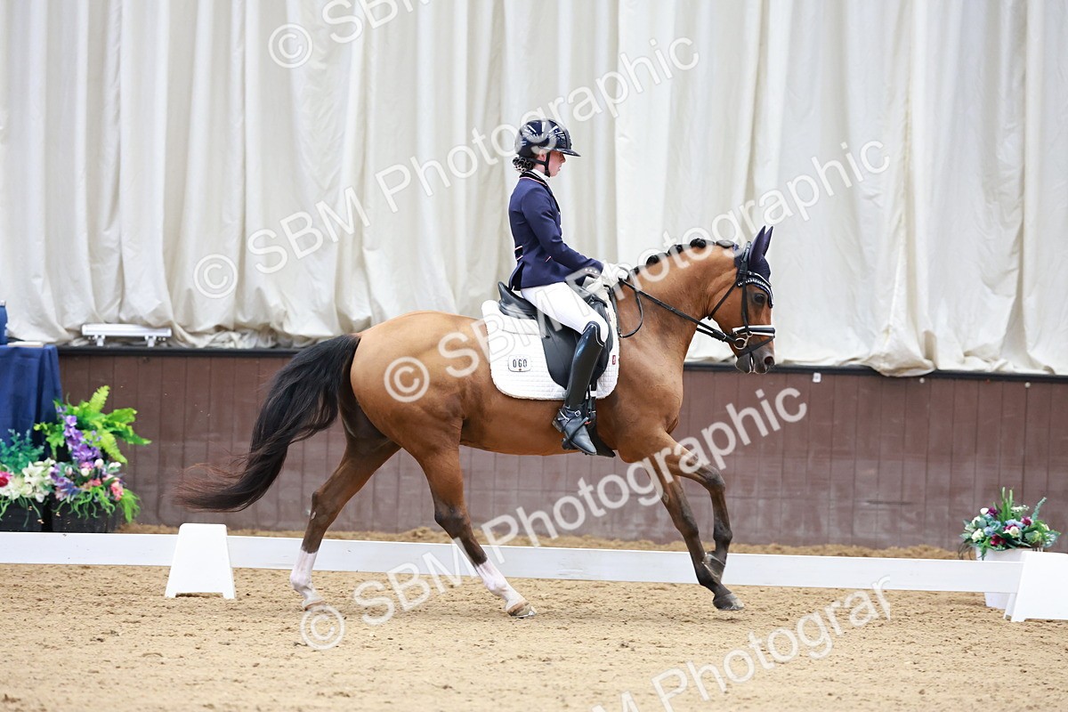 SBM_017277 - Class15 - FEI Pony