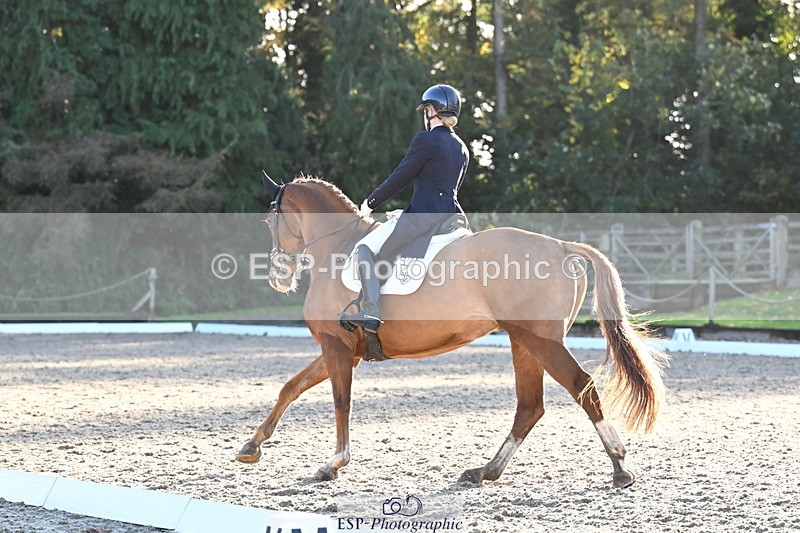 251023A-162529-06071 - B-170-Mollie.Summerland