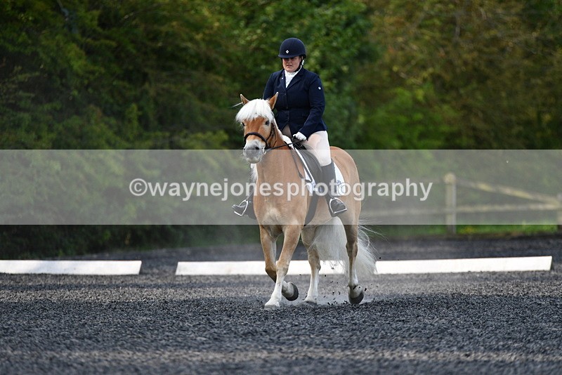 WJ5_8828 - Time 09:34 to 09:57