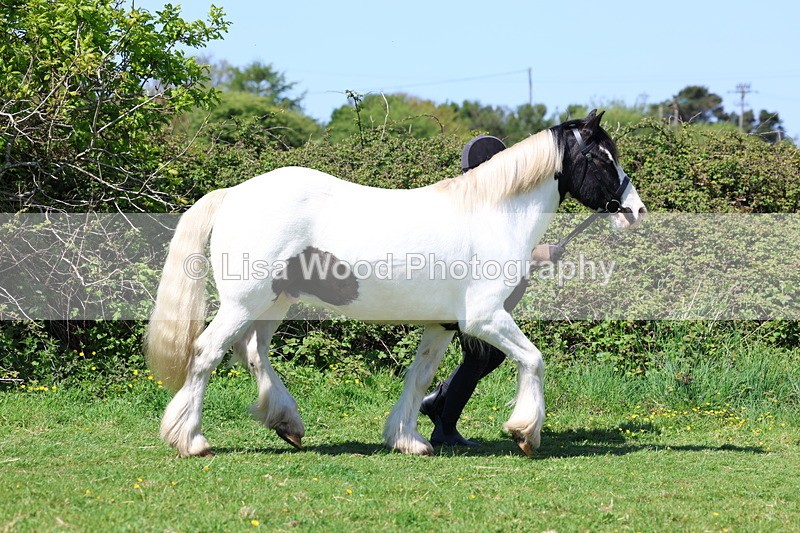 3E7A0259 - Class 19: Best Coloured in Hand