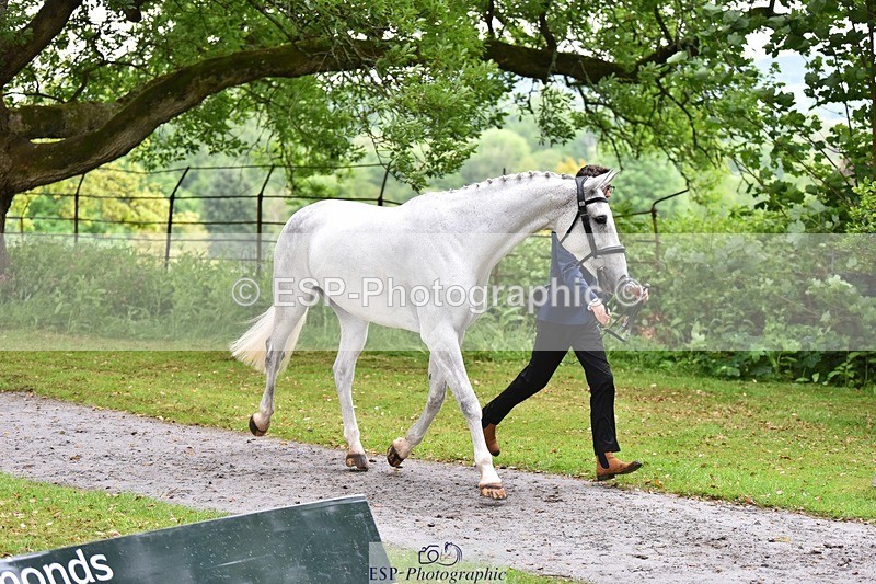 240522-160906-00746 - 156-JAG_WOMANIZER_LADY-Beatrice_Montgomerie