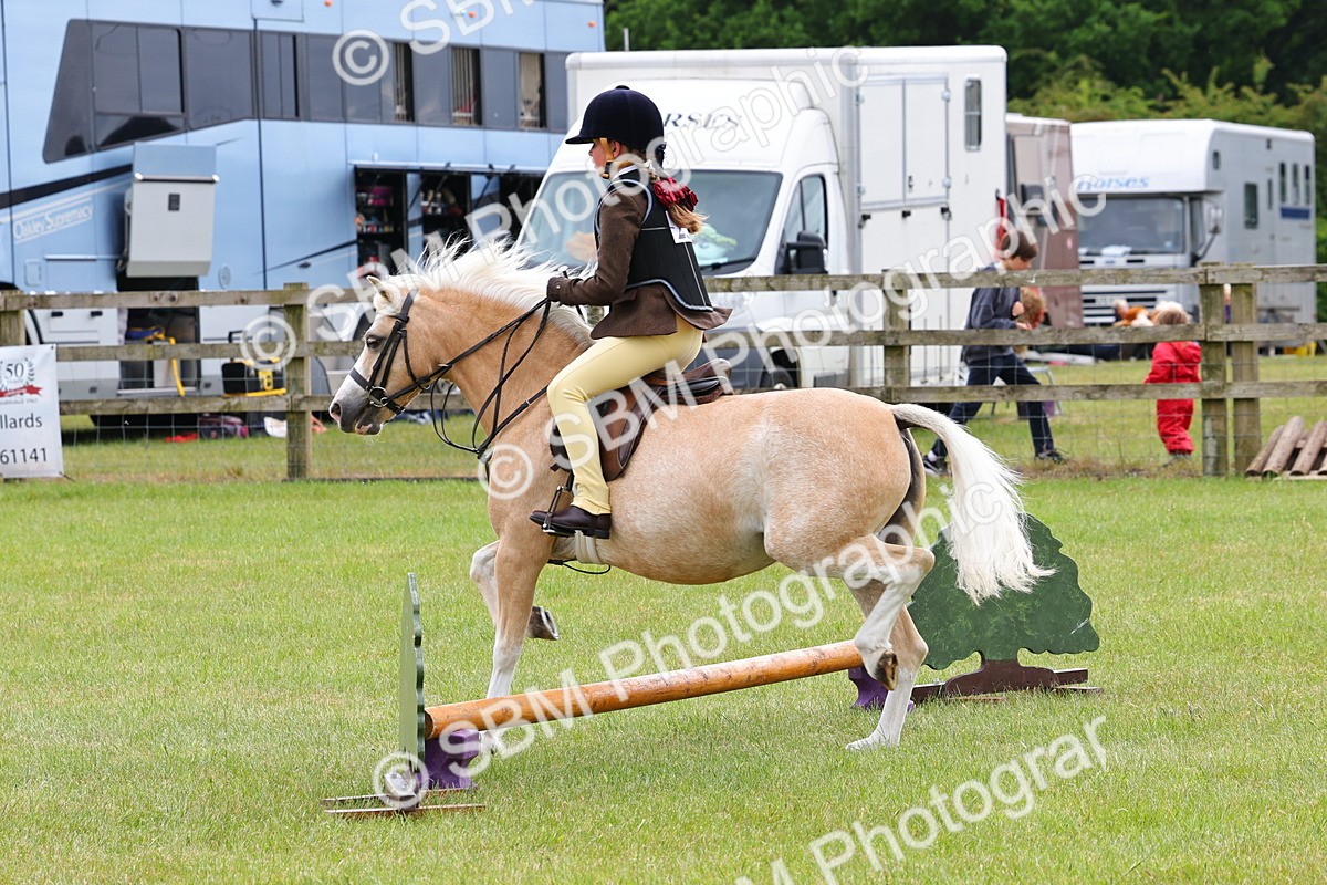 SBM_08582 - Class 42-43 - LIHS BSPS Heritage Working Sports Pony
