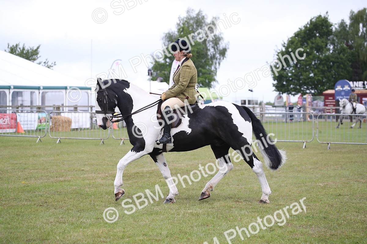 SBM_11079 - Class 92-93 - LIHS BSHA Rising Star Cobs