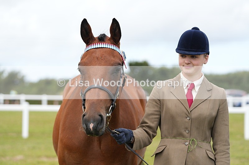 DSC06400 - Class 55: Hunter/Riding Horse/Hack 3 & 4 yr olds