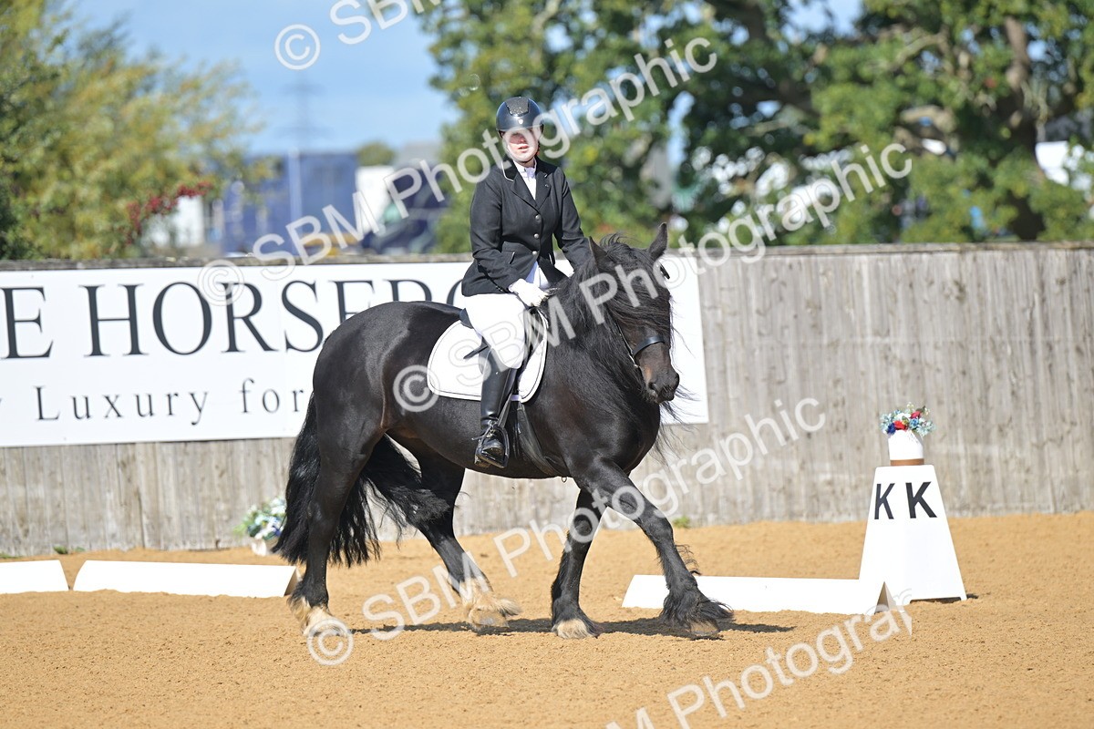 SBM_03962 - D2 - Small Tour Championship Intro 2