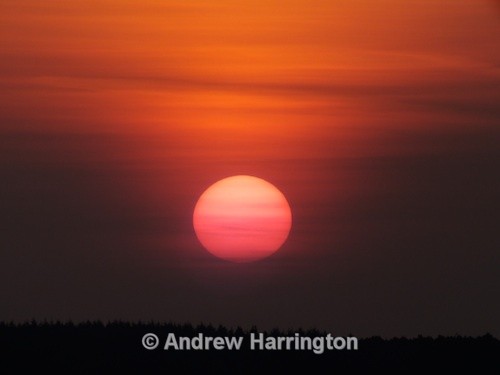 radiance - Photos 3