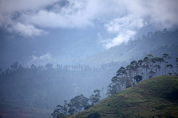  - Sri Lanka wildlife, people & places