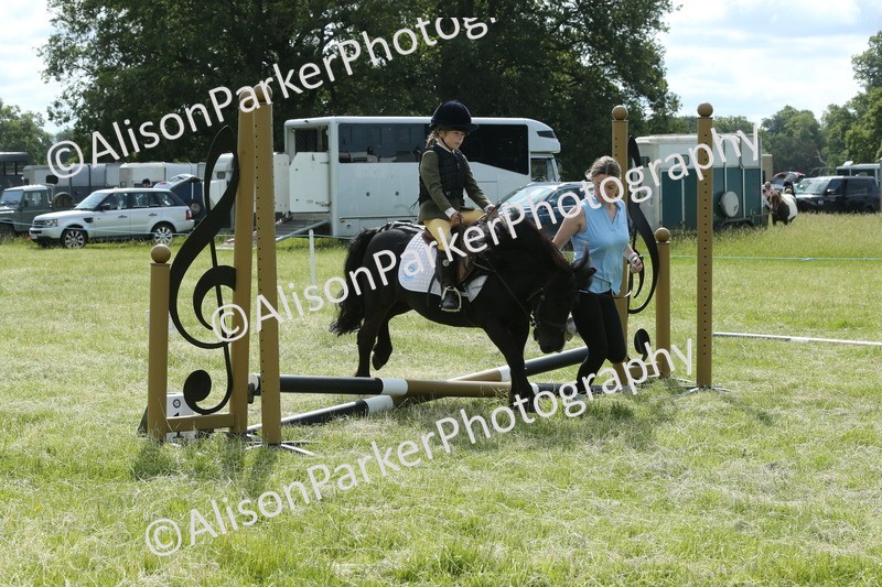 20260614-0178 - Class 1 - 30cm Lead Rein