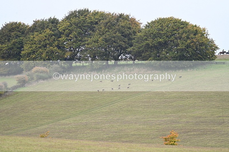 WJ7_4002 - Camera 1 Line 2