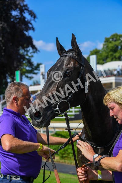 160623-Race 4-Chichester-0516 - Race 4 3.35pm Seat Unique Ganton Stakes