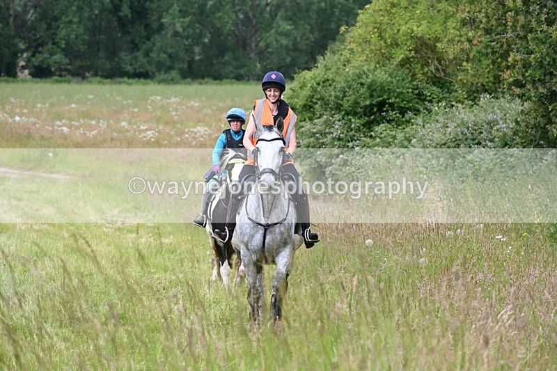 WJ6_8106 - Camera 1 Gallops