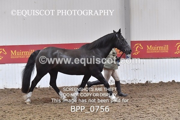 BPP_0756 - RING 2