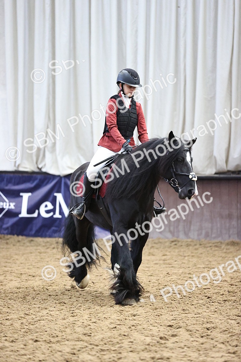 SBM_000246 - Class 2 - Show Jumping 50cm
