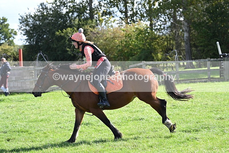 WJ7_1392 - Time 13:56 to 14:24