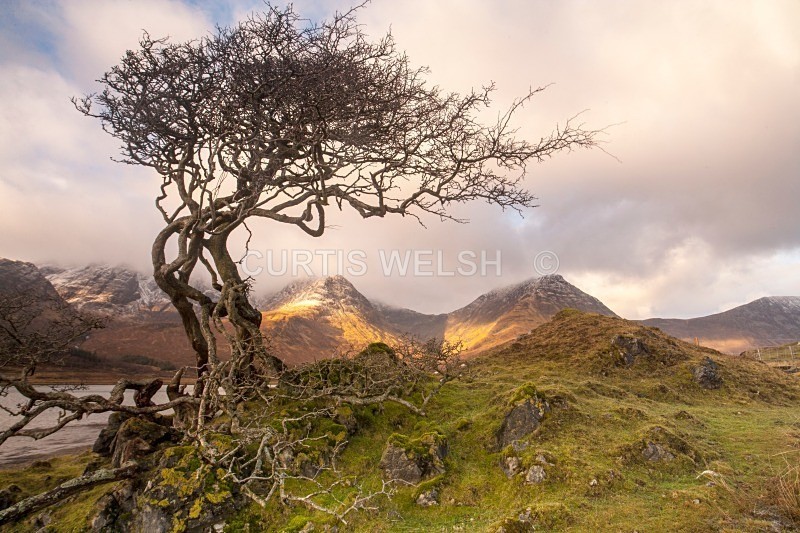 01 - THE SCOTSMAN - READERS GALLERY
