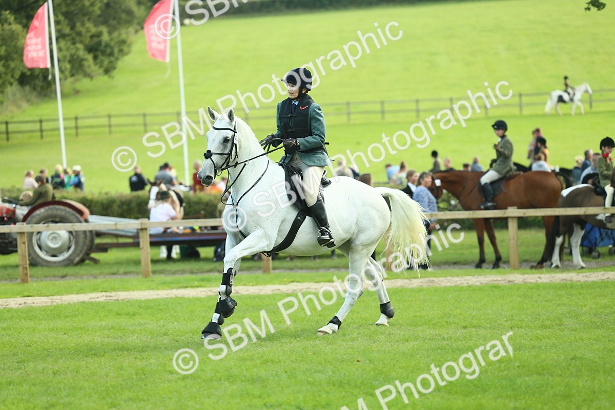 SBM_50592 - S33 - Working Hunter & Working Show Horse