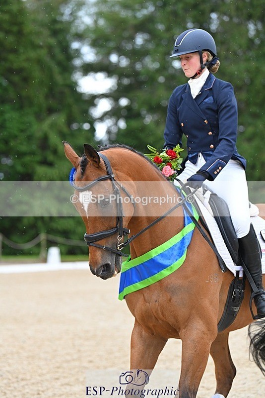 230813-163021-08339 - Medium Bronze Presentations