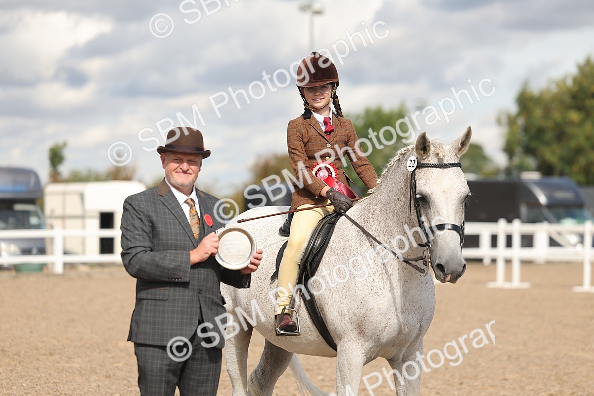 SBM_13199 - Class 306 - Ridden Foreign Breds - Part Bred