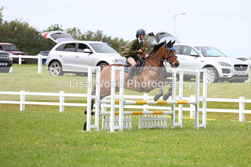 3E7A1623 - Class 13: Senior British Novice/90cm open